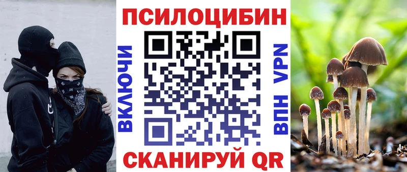 Купить  Новороссийск  Псилоцибиновые грибы GOLDEN TEACHER 